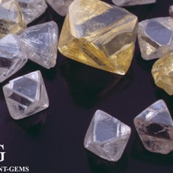 Diamants bruts forme octaédrique Diamants bruts de forme octaédrique idéale