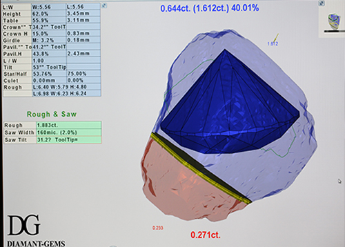 screenshot of the Sarin software for diamond merchants