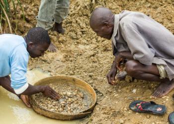 Recherche de diamants bruts dans une rivière avec un tamis