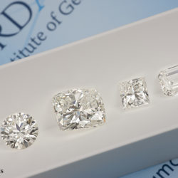 diamants certifiés observation de différentes formes de diamants blancs